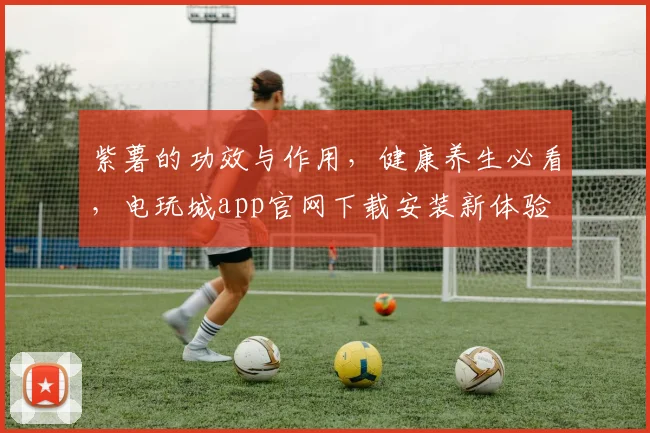 紫薯的功效与作用，健康养生必看，电玩城app官网下载安装新体验