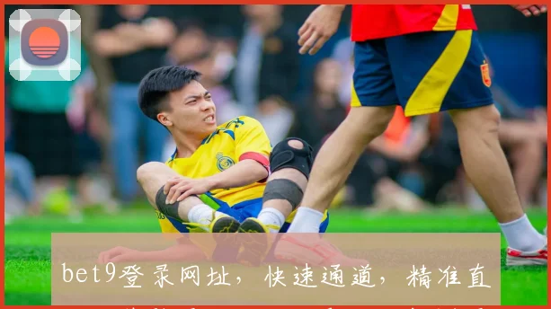 bet9登录网址，快速通道，精准直达，体验无阻，双击即达，畅游无忧